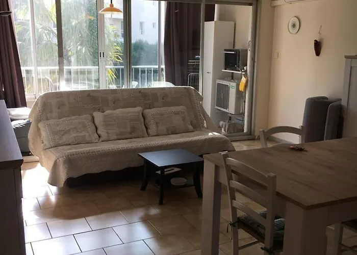 T1 Climatisé Au Port De Avec Véranda Meublée, Proche Plages Et Commerces - Fr-1-335-186 Appartement